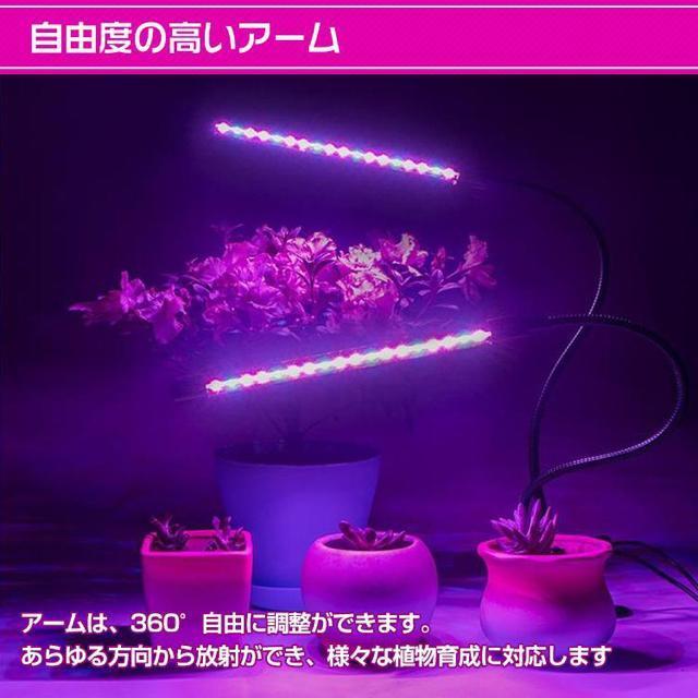 植物育成ライト LED 日照不足解消 キット アーム自由調節 水耕栽培 ランプ 室内栽培 ガーデン 温室 工事不要 < インテリア/ライフ 植物育成ライト LED 日照不足解消 キット アーム自由調節 水耕栽培 ランプ 室内栽培 ガーデン 温室 工事不要 < インテリア/ライフの