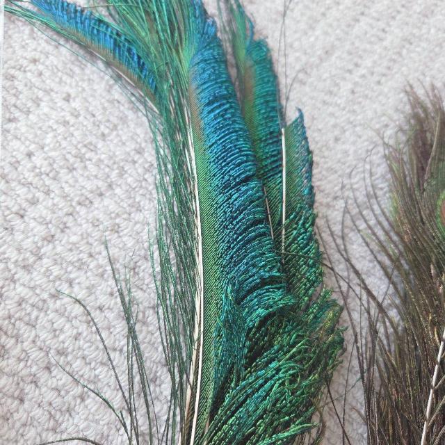 �y��e�ʁz�n���h���C�h ���� �܂Ƃߔ��� �H�� �t�F�U�[ �r�[�Y �g���[ �� �����t�@�b�V������ 