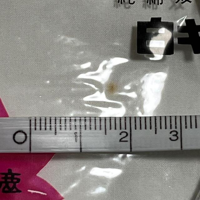 ���g�p ���� 23.5 �� �L�����R 4���R�n�[ ���� �� �����t�@�b�V������ 