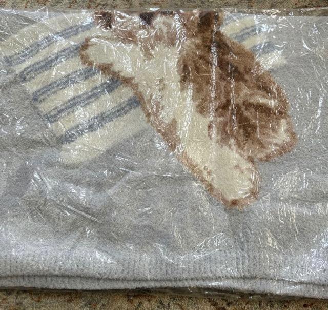 �W�F���[�g�s�P�V�[�Y�[�u�����P�b�g  �� �C���e���A/���C�t�� 