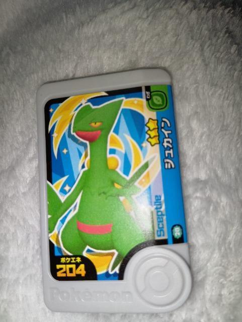 �|�P�����t�����_���W���J�C�������g�p  �� �g���[�f�B���O�J�[�h�� 