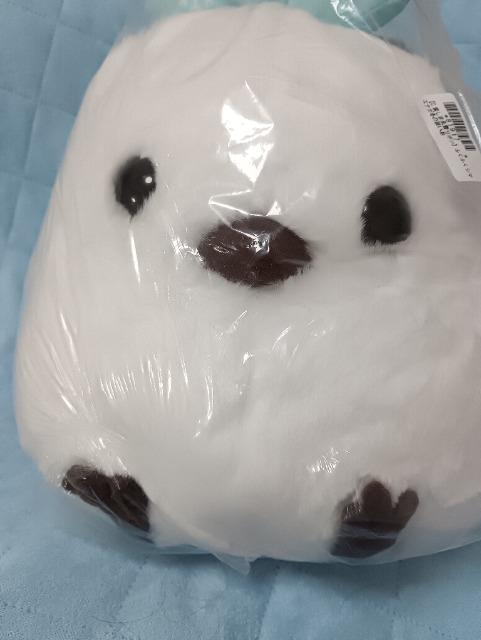 �V�}�G�i�K�A�჊�{���ʂ������ �� ��������� 