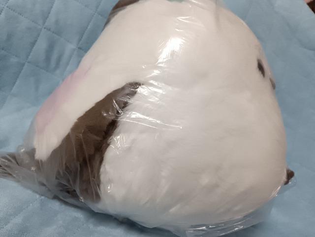 �V�}�G�i�K�A�჊�{���ʂ������ �� ��������� 