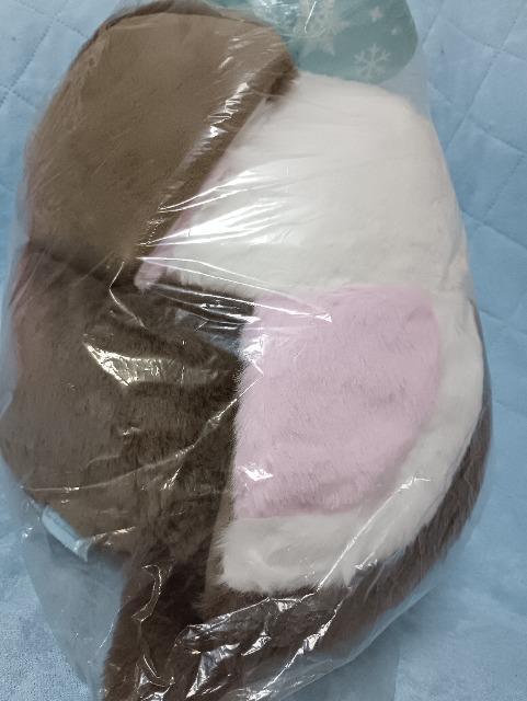 �V�}�G�i�K�A�჊�{���ʂ������ �� ��������� 