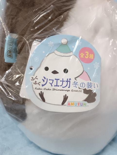 �V�}�G�i�K�A�჊�{���ʂ������ �� ��������� 