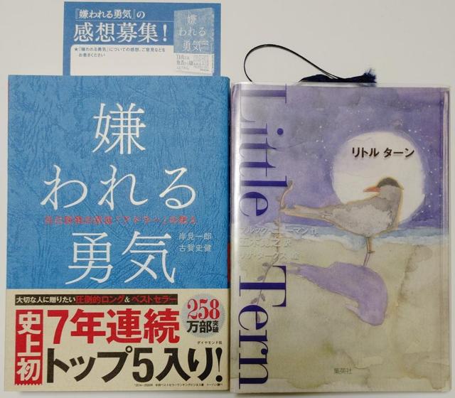 2���Z�b�g���݌���Y ������E�C ���Ȍ[���̌��� �A�h���[�̋��������g���^�[�� �ܖ؊��V �u���b�N �j���[�}�� �S���w �G�{  �� �{/�G���� 