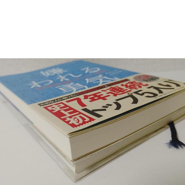 2���Z�b�g���݌���Y ������E�C ���Ȍ[���̌��� �A�h���[�̋��������g���^�[�� �ܖ؊��V �u���b�N �j���[�}�� �S���w �G�{ �� �{/�G���� 