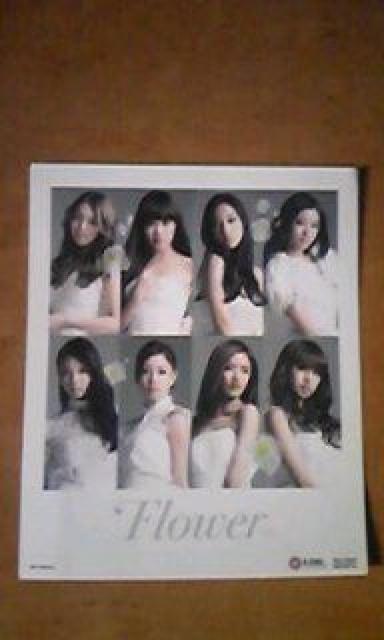 FlowerŐVȁP[XCxgXebJ[   ^gObY 