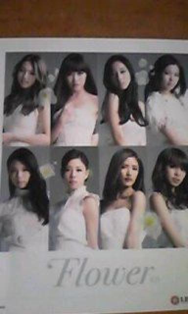 FlowerŐVȁP[XCxgXebJ[  ^gObY 