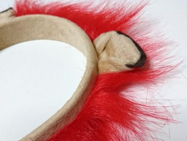 J[vԂV[Y 2016 ԂĂ J`[V  W[/X|[c 