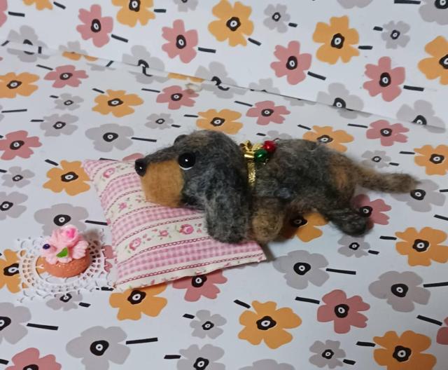 �r�уt�F���g�@�@�_�b�u���n�_�b�N�X�t���h�@�P�[�L�N�b�V�����t��  �� �y�b�g/��|/���|�� 