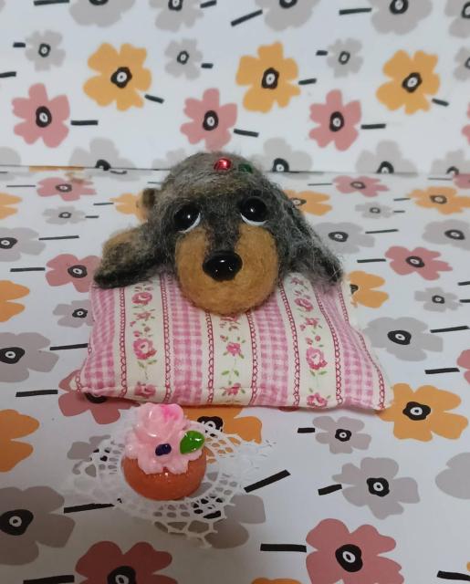 �r�уt�F���g�@�@�_�b�u���n�_�b�N�X�t���h�@�P�[�L�N�b�V�����t�� �� �y�b�g/��|/���|�� 