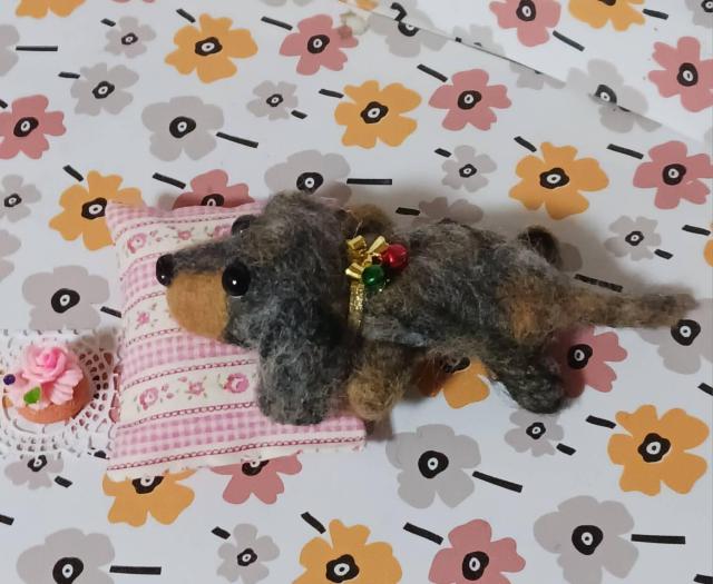 �r�уt�F���g�@�@�_�b�u���n�_�b�N�X�t���h�@�P�[�L�N�b�V�����t�� �� �y�b�g/��|/���|�� 