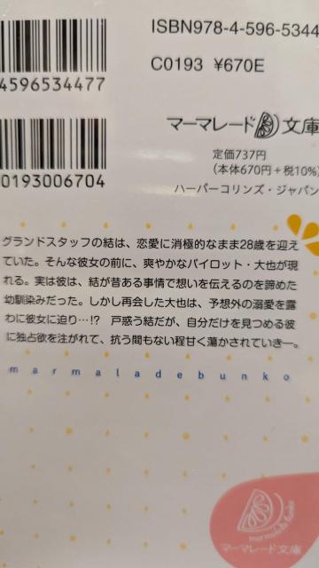 rpCbg̗c݂ɍĉrM瓦܂񁚖؉ǁ}[}[h  {/G 