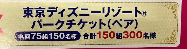 �f�B�Y�j�[���]�[�g�p�[�N�y�A�`�P�b�g/�ݐ؃p�[�e�B�[�y�A/3�� �� �`�P�b�g/������ 