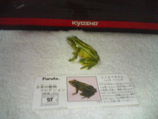 t^@ {̓RNV2        gmT}KG   zr[ 