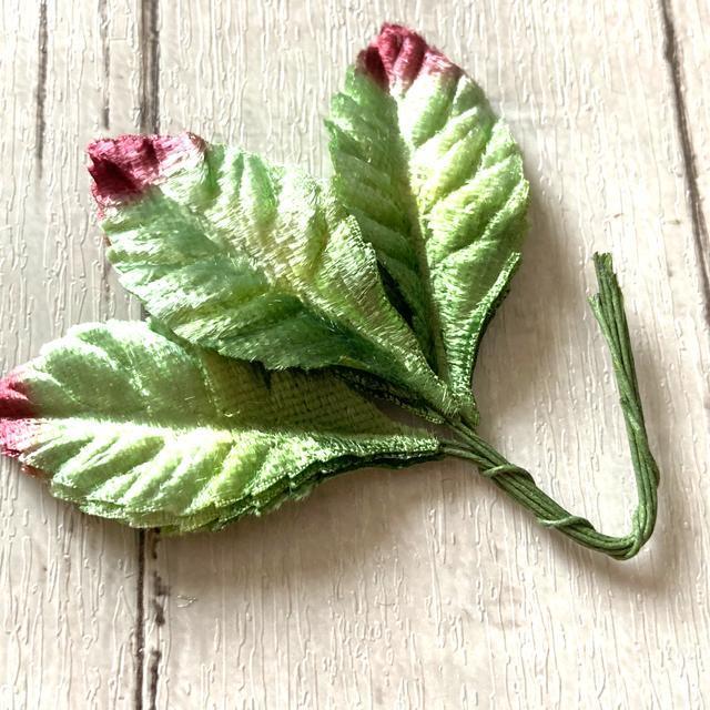 ☆ワイヤークラフト・葉っぱ(小)9枚入り < ペット/手芸/園芸 ☆ワイヤークラフト・葉っぱ(小)9枚入り < ペット/手芸/園芸の