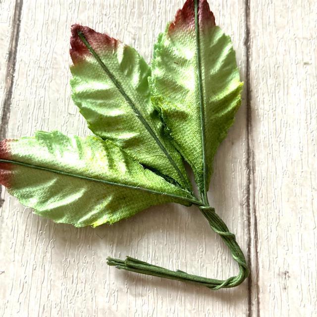 ☆ワイヤークラフト・葉っぱ(小)9枚入り < ペット/手芸/園芸 ☆ワイヤークラフト・葉っぱ(小)9枚入り < ペット/手芸/園芸の