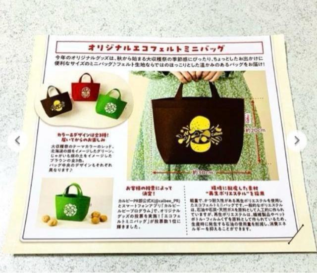 カルビー 限定★エコフェルトミニバッグ 緑色★トートバッグ★懸賞 当選品 非売品 2024年 < 女性ファッション カルビー 限定★エコフェルトミニバッグ 緑色★トートバッグ★懸賞 当選品 非売品 2024年 < 女性ファッションの