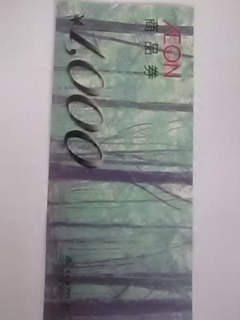 1000�~�C�I�����i���V�i  �� �`�P�b�g/������ 