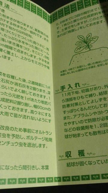 家庭菜園、ハクサイ栽培方法冊子 白菜 はくさい < ペット/手芸/園芸  家庭菜園、ハクサイ栽培方法冊子 白菜 はくさい < ペット/手芸/園芸の
