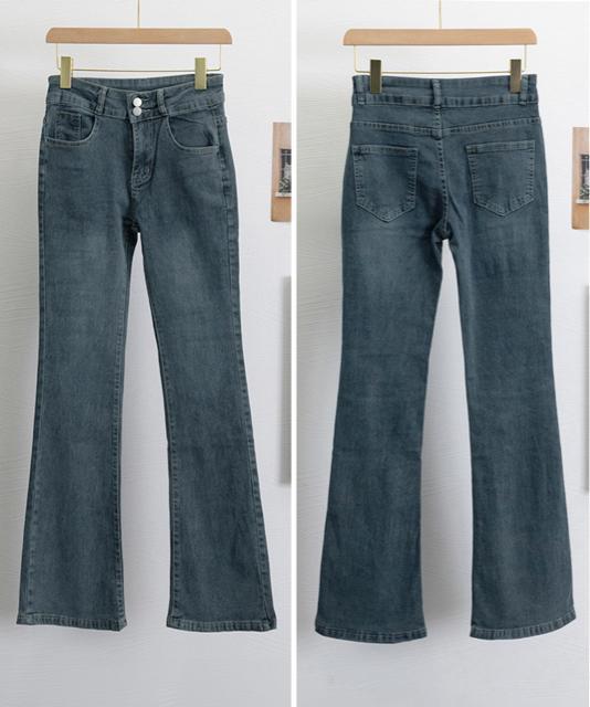 �������� �V�i �Z�~�t���A�f�j���p���c ���r�f�j���p���c �� �����t�@�b�V������ 