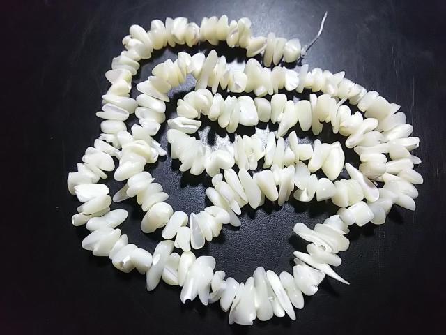 ӂ܊ӂcVR΁lnoiVFj@@PA 