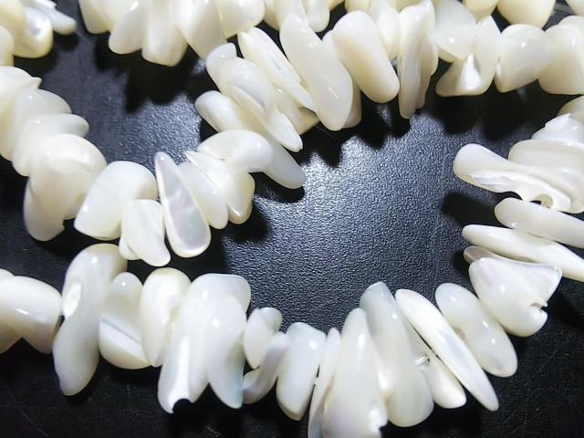 ӂ܊ӂcVR΁lnoiVFj@@PA