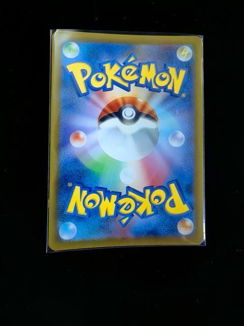 �� ���i�� �|���`���𒅂��s�J�`���E 203/XY-P �v���� ���K�g�E�L���[ �|�P�����Z���^�[ �� �g���[�f�B���O�J�[�h�� 