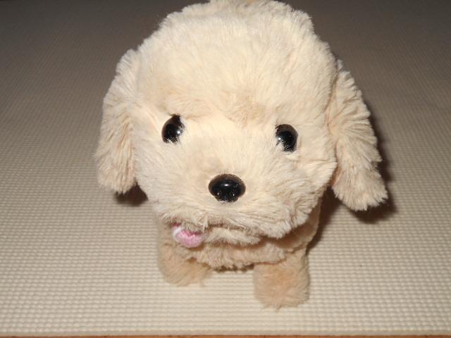 いっしょにあそぼう レトリバー ソラちゃん 欠品無し < おもちゃ  いっしょにあそぼう レトリバー ソラちゃん 欠品無し < おもちゃの