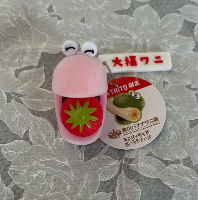 �yTAITO����z�M��o�i�i���j�� �啟���j�~�j �t�B�M���A BC  �� �z�r�[�� 