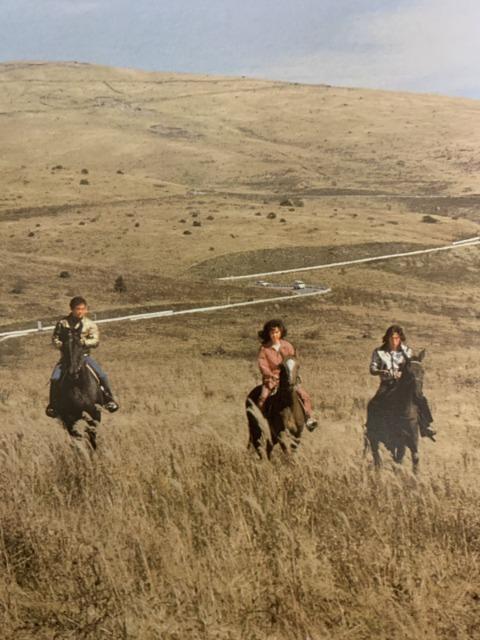 新品☆冒険者カミカゼ☆真田広之 千葉真一 < CD/DVD/ビデオ  新品☆冒険者カミカゼ☆真田広之 千葉真一 < CD/DVD/ビデオの