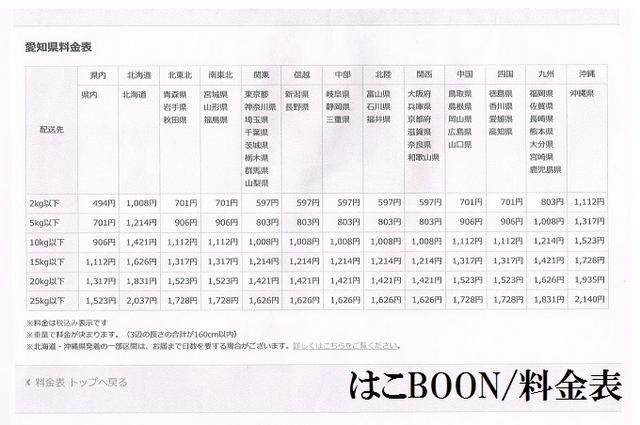 A@ѐD\@E11/1MTCJ[h@ejX  g[fBOJ[h 