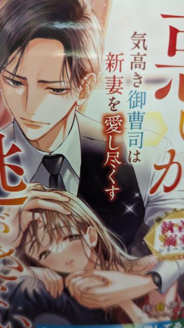 気高き御曹司は新妻を愛し尽くす★佐倉伊織★ベリーズ文庫 < 本/雑誌  気高き御曹司は新妻を愛し尽くす★佐倉伊織★ベリーズ文庫  < 本/雑誌の