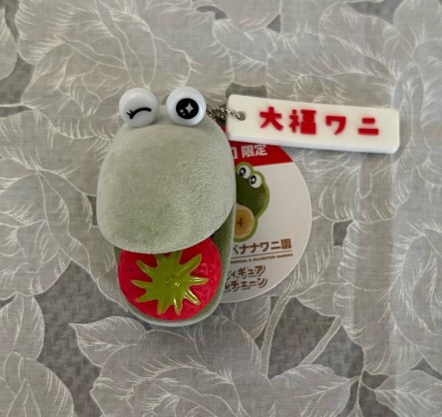 �yTAITO����z�M��o�i�i���j�� �啟���j�~�j �t�B�M���A BC  �� �z�r�[�� 