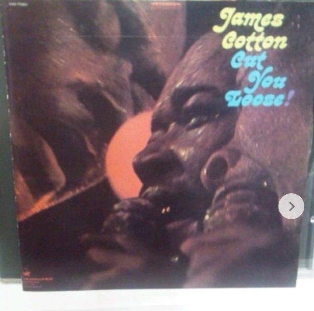 CD 名盤 ジェイムス・コットン/カット・ユー・ルース(ブルース) < CD/DVD/ビデオ CD 名盤 ジェイムス・コットン/カット・ユー・ルース(ブルース) < CD/DVD/ビデオの