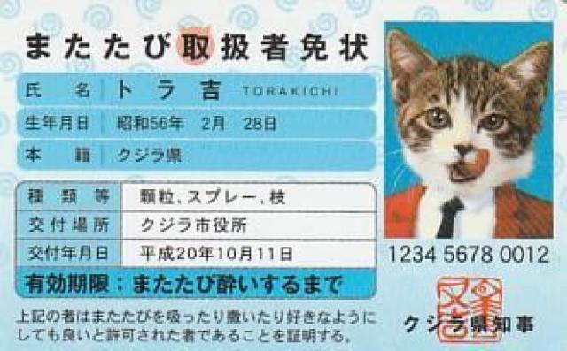 なめ猫パロディーカード 4種【B-21】 < ホビー  なめ猫パロディーカード 4種【B-21】 < ホビーの