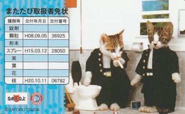 なめ猫パロディーカード 4種【B-21】 < ホビー  なめ猫パロディーカード 4種【B-21】 < ホビーの