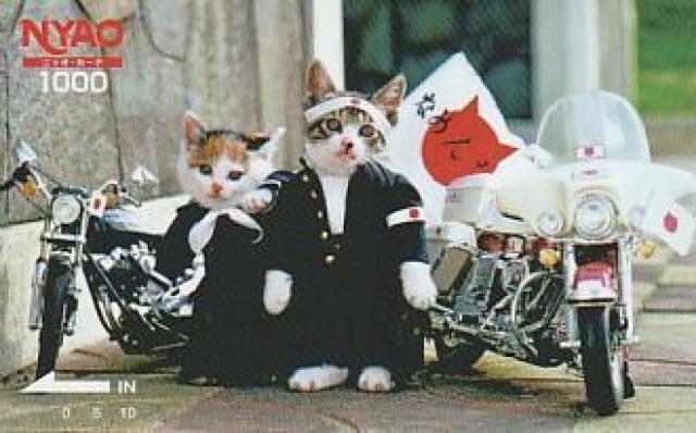 なめ猫パロディーカード 4種【B-21】 < ホビー  なめ猫パロディーカード 4種【B-21】 < ホビーの