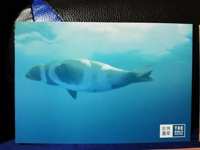 y|XgJ[hzEY@5Zbg  zr[ 