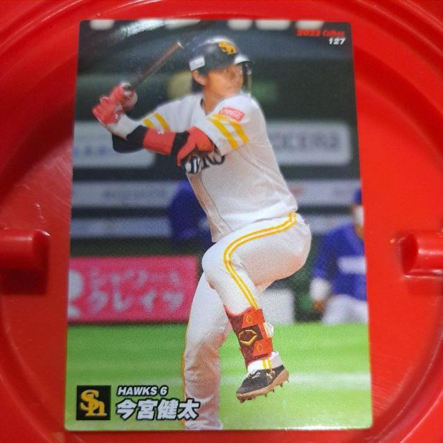 ���{���� �� �g���[�f�B���O�J�[�h�� 