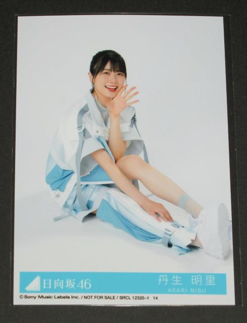 ������46�@���Ɛ����x��midnight�@���ʐ^�P���@ �O������  �� �^�����g�O�b�Y�� 