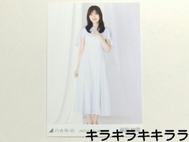 sNewtT؍46/ēcM؁2023N*Lucky Bag[ʐ^]   ^gObY 