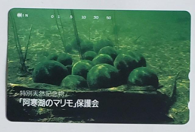 特別天然記念物 「阿寒湖のマリモ」保護会  < ホビー  特別天然記念物 「阿寒湖のマリモ」保護会   < ホビーの