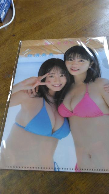 佐々木ほのか、白濱美兎の両面クリアファイル < タレントグッズ  佐々木ほのか、白濱美兎の両面クリアファイル  < タレントグッズの