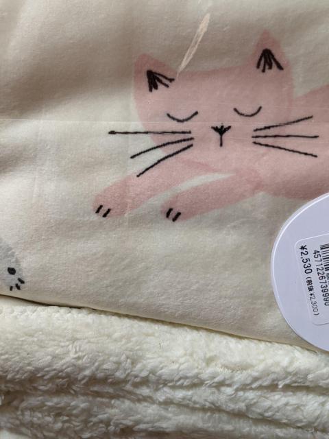 mAt@~[CAT U˂uPbg Ђ| L  t@bV 