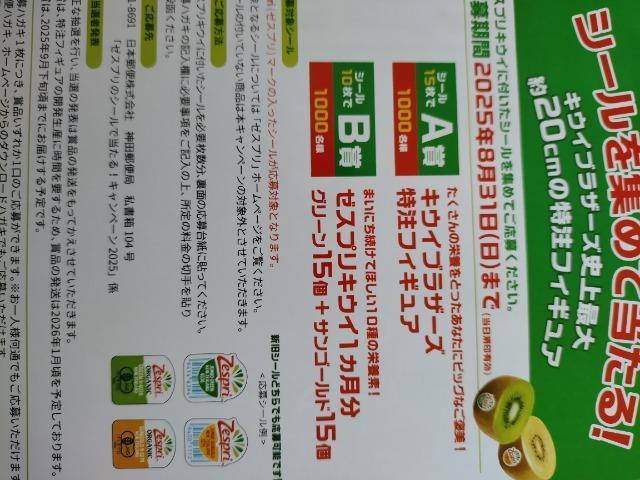 [XṽV[œ!Ly[  2025  V[ 20