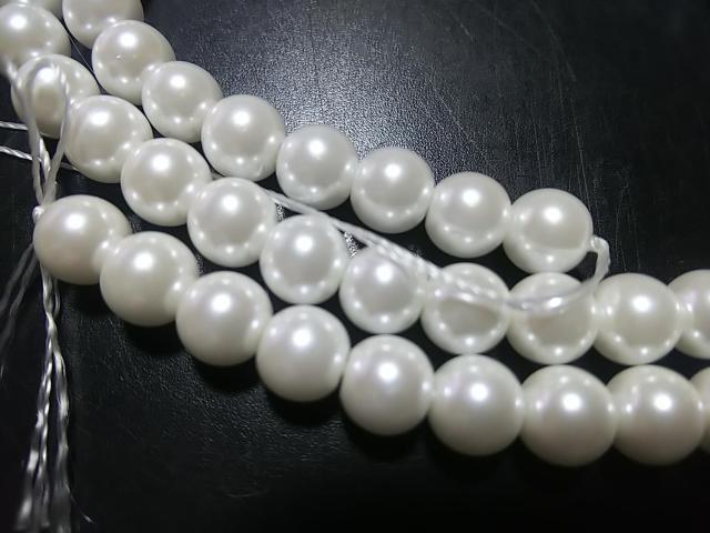 �V�R�΁��V�F���p�[���i�z���C�g�j�U�����@�P�A �� �����A�N�Z�T���[/���v�� 