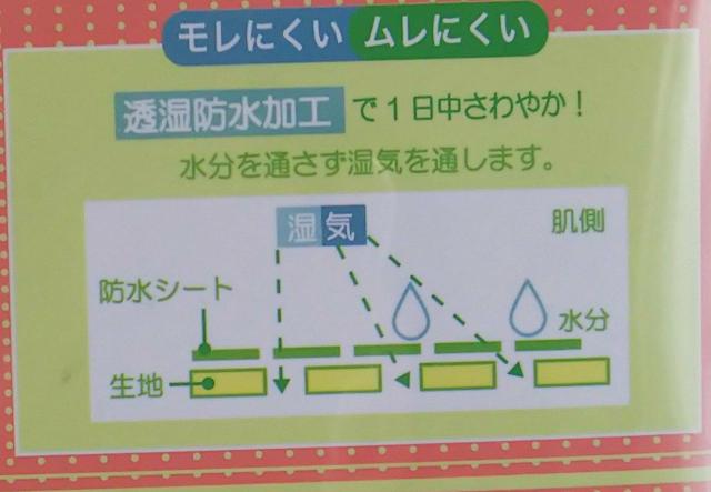 M★サニタリーショーツ★送料無料 < 女性ファッション  M★サニタリーショーツ★送料無料 < 女性ファッションの