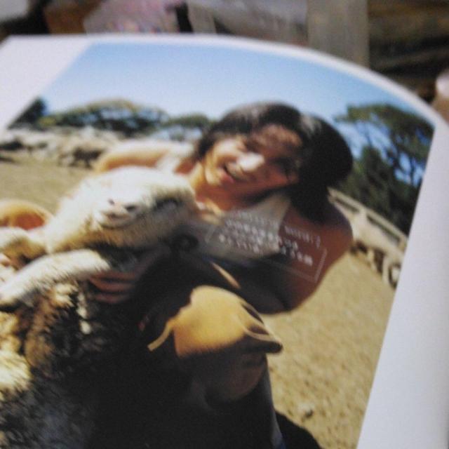 ☆ジェリーイェン☆両棲類動物写真集 < タレントグッズ  ☆ジェリーイェン☆両棲類動物写真集 < タレントグッズの